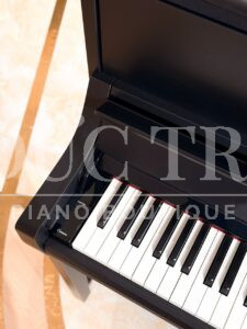 Phím đàn piano Yamaha CSP-295B