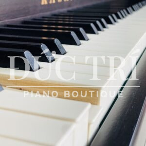 Phím đàn piano điện Kawai CA9700GP