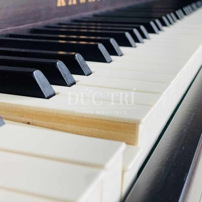 Phím đàn piano điện Kawai CA9700GP