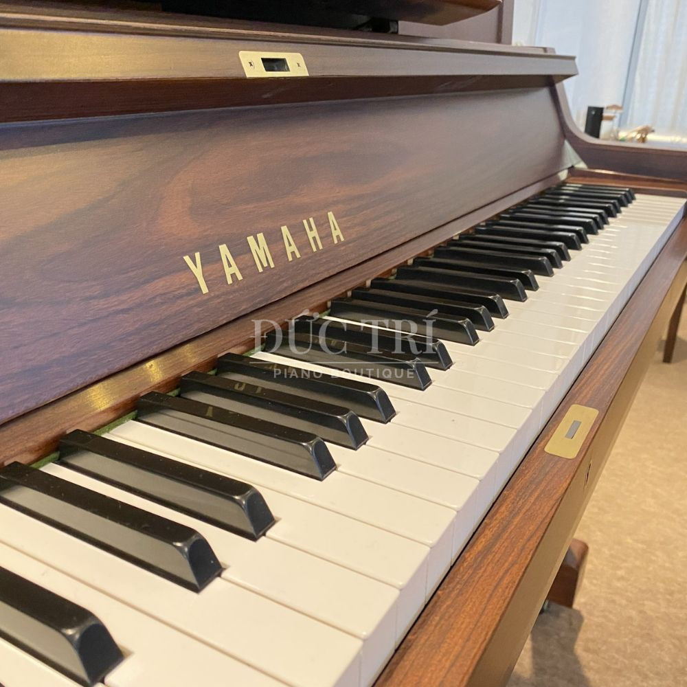 Phim dan tren Yamaha WX102R Yamaha Wx102R Phím đàn trên Yamaha WX102R