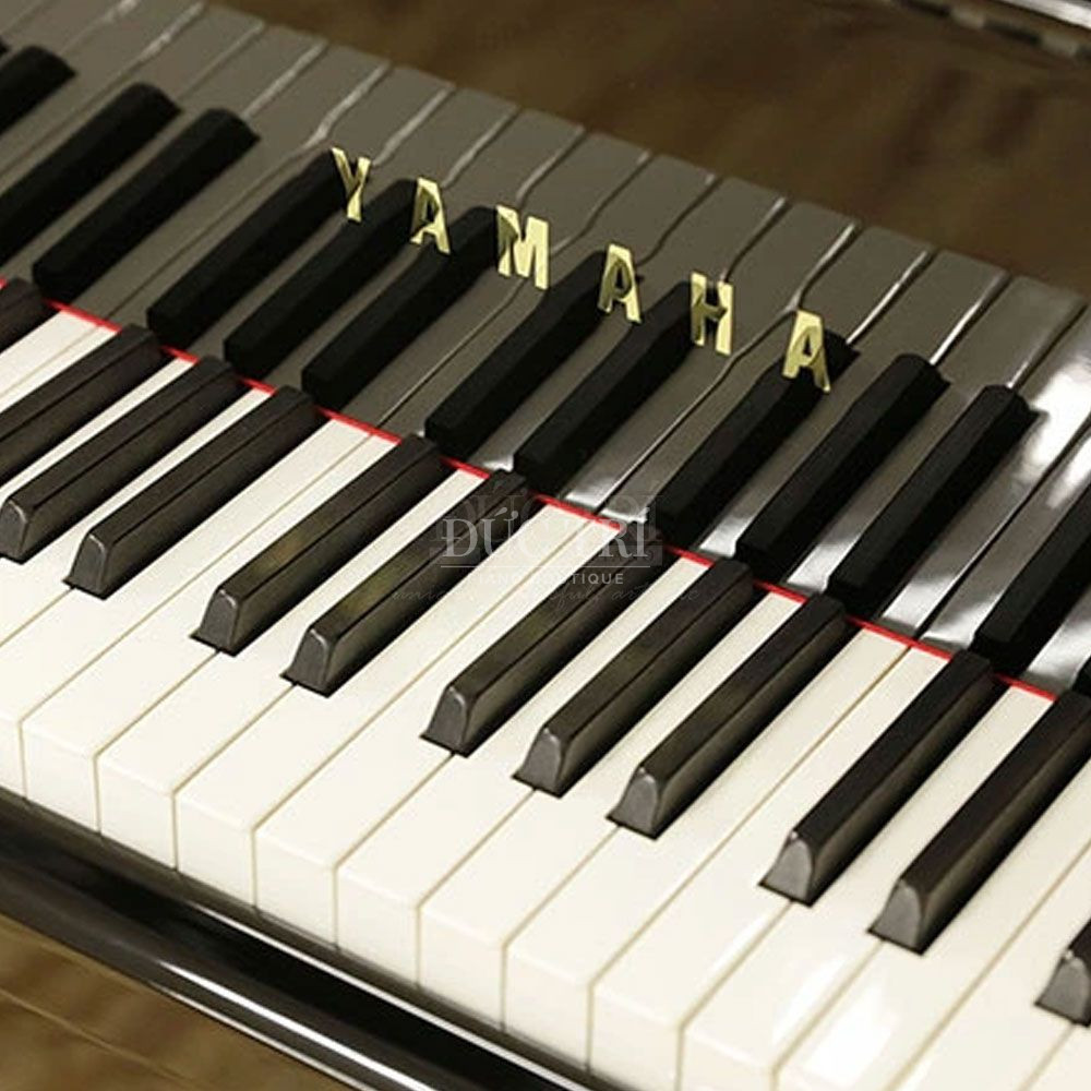 Phim dan tren dan Yamaha CSII Yamaha CSII Phím đàn trên đàn Yamaha CSII