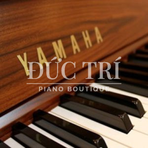 Phím đàn trên đàn Yamaha M3 SDW
