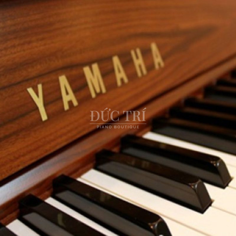 Phím đàn trên đàn Yamaha M3 SDW