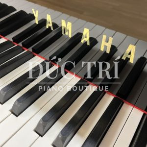 Phím đàn trên đàn Yamaha S4B