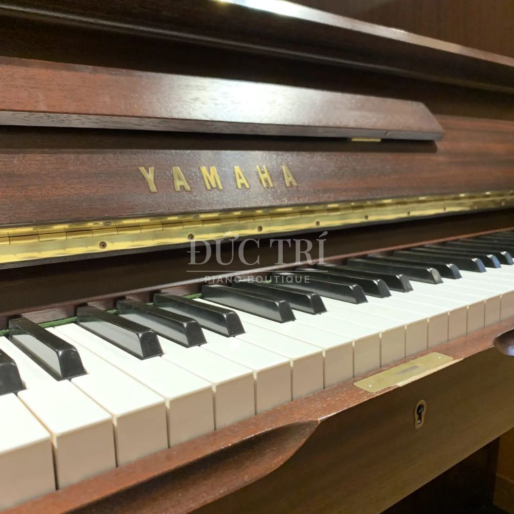Phim dan tren dan Yamaha W120BS Yamaha W120BS Phím đàn trên đàn Yamaha W120BS