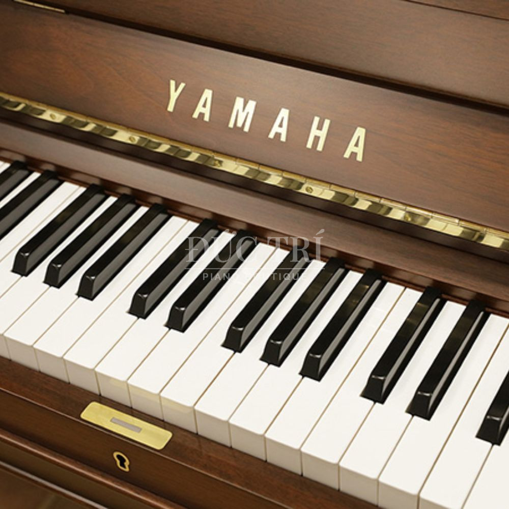 Phim dan tren dan Yamaha Yamaha Wx106W Phím đàn trên đàn Yamaha Wx106W