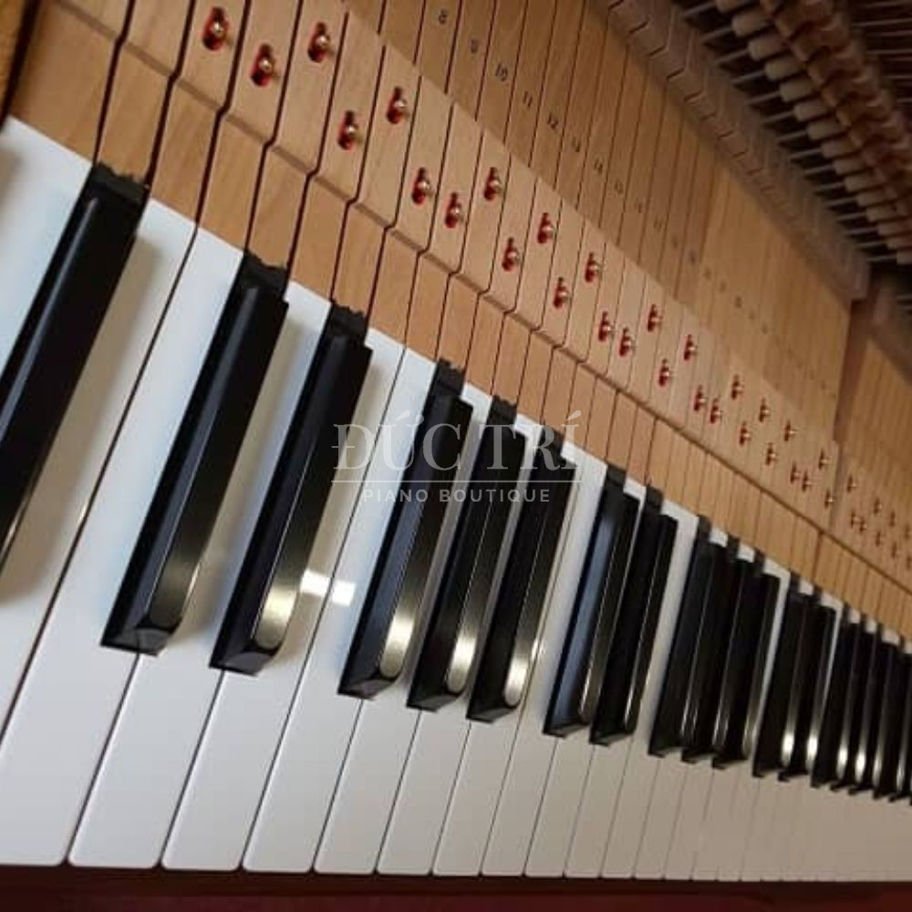 Phim dan tren piano Yamaha UX10WN Yamaha UX10WN Phím đàn trên piano Yamaha UX10WN