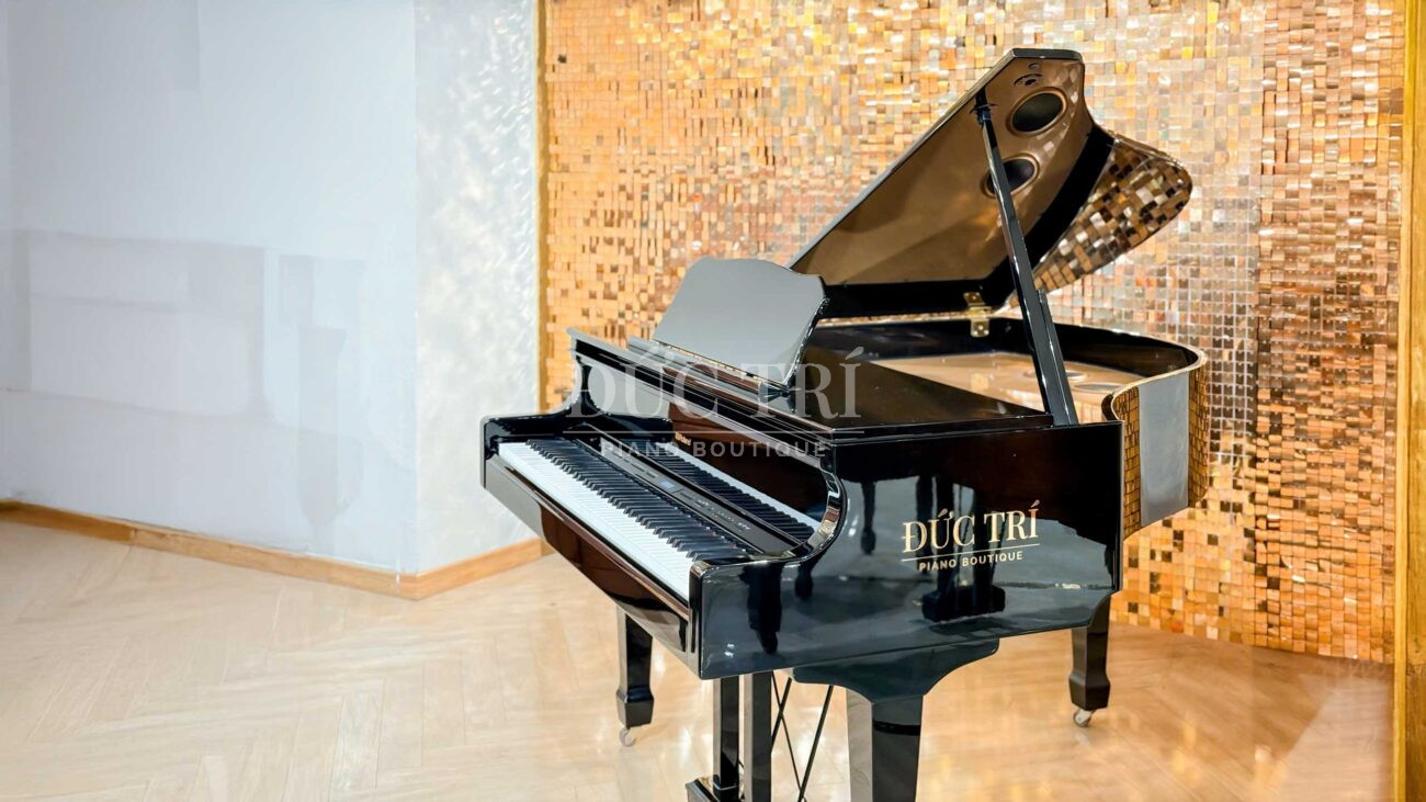 Roland 609GP PE piano đức trí
