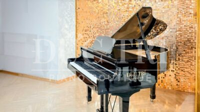 Roland 609GP PE piano đức trí