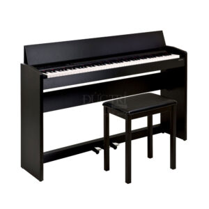 Roland-F-110