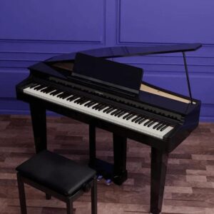 Roland GP6 từ trên cao nhìn xuống