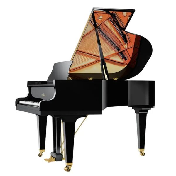 Schimmel C169 Tradition