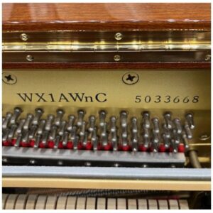 Seri đàn Yamaha Wx1AWnC