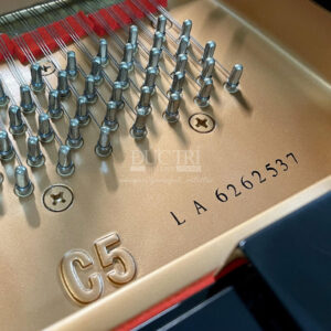 Số seri Yamaha C5LA