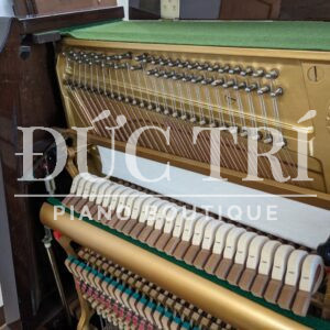 Soundboard & Dây đàn