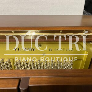 Soundboard & Dây đàn