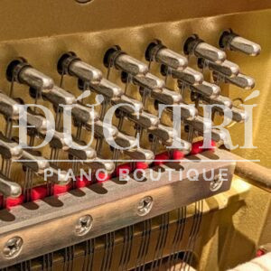 Soundboard & Dây đàn