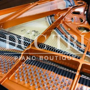 Soundboard & Dây đàn