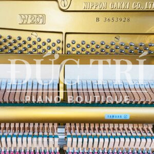 Soundboard & Dây đàn chất lượng