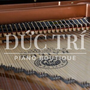 Soundboard & Dây đàn tiêu chuẩn Đức