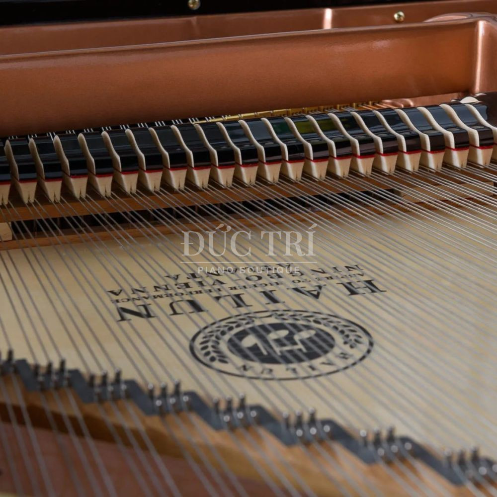 Soundboard Day dan tieu chuan Duc Hailun HG-151 Soundboard & Dây đàn tiêu chuẩn Đức