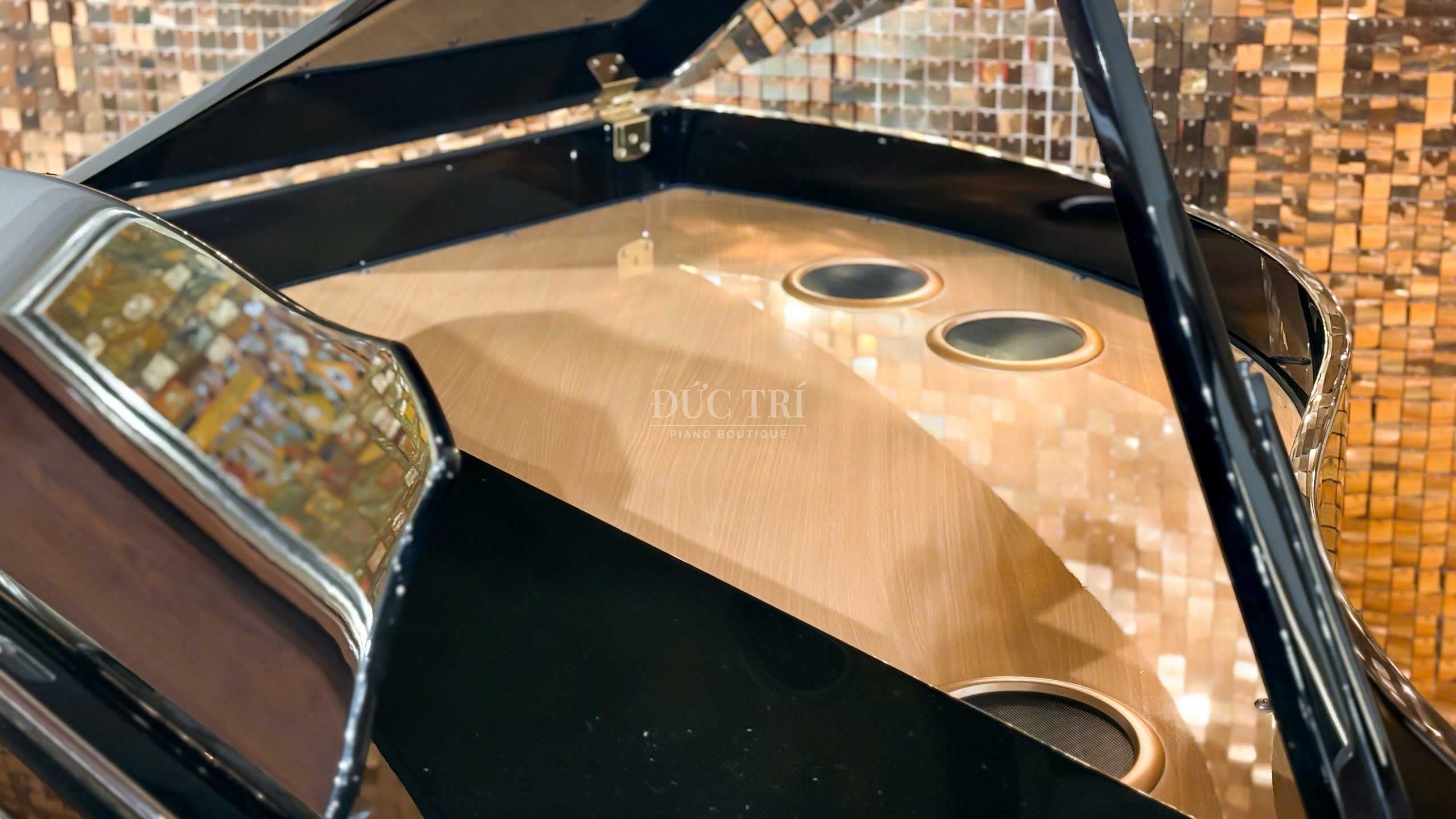 Roland GP609 8 Soundboard đàn piano roland 609GP PE