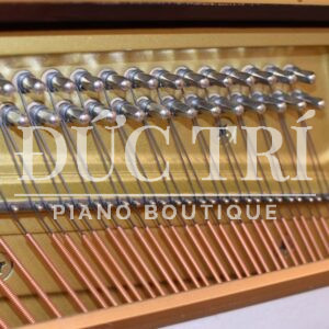 Soundboard và Dây đàn