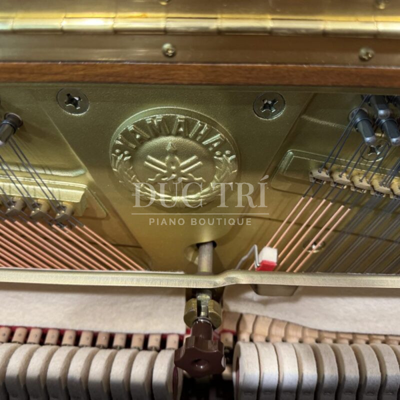 Soundboard và Dây đàn làm bằng gỗ nguyên khối