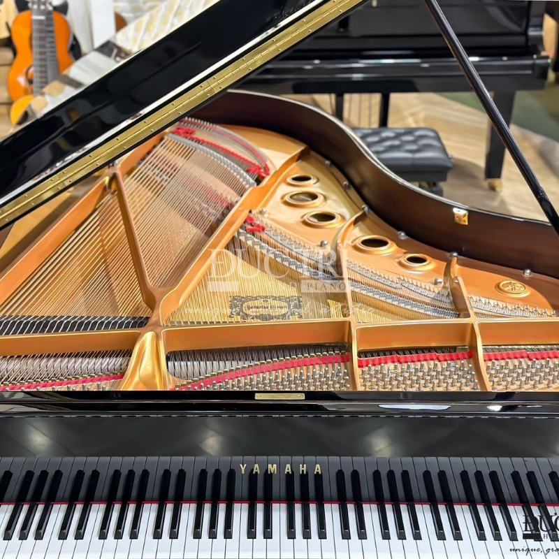 Thanh chống và thùng đàn Yamaha CF6