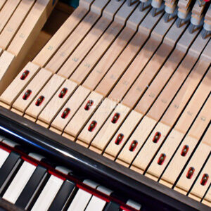 Thanh đòn phím đàn Yamaha UX100