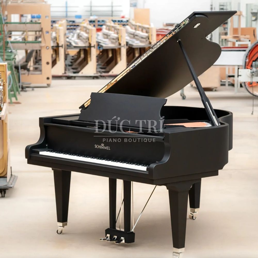 Thiet ke Art Collection doc ban Schimmel C169 Black Pearl Thiết kế Art Collection độc bản