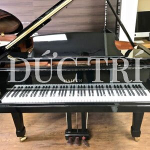Thiết kế Piano Grand Hailun HG 161