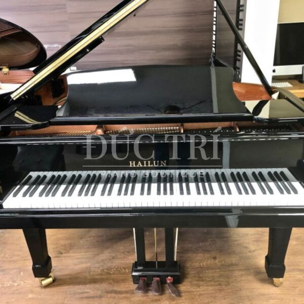 Thiết kế Piano Grand Hailun HG 161