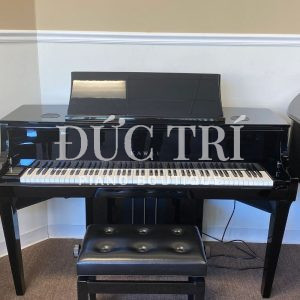 Thiết kế đàn Kawai NV10S