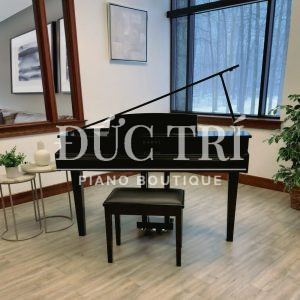 Thiết kế đàn piano Kawai DG30