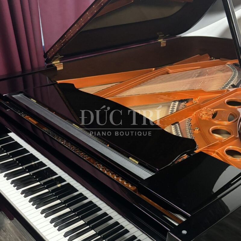 Thiết kế khung đàn Schimmel W206