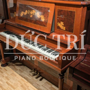 Thiết kế ngoại thất sang trọng