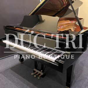 Thiết kế tinh tế cho sân khấu chuyên nghiệp