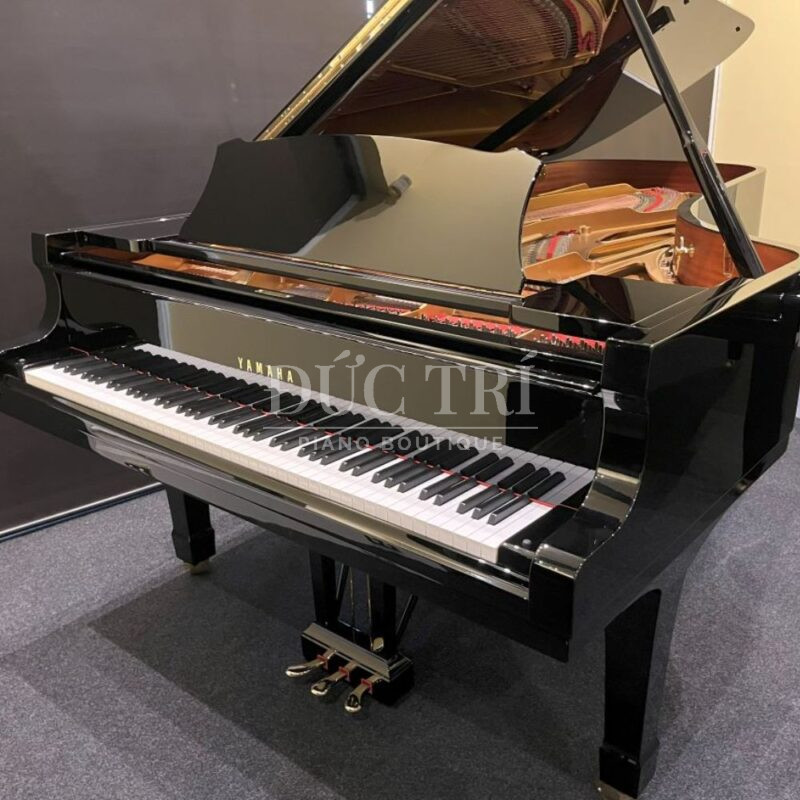 Thiết kế tinh tế cho sân khấu chuyên nghiệp