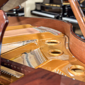 Grand Piano Wm Knabe & Co Cao Cấp tại Đức Trí Music