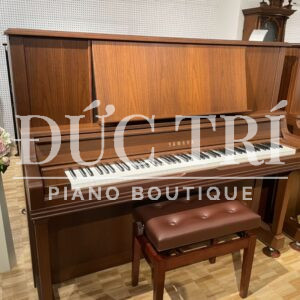 Vật liệu làm đàn bằng gỗ óc cho tự nhiên cao cấp