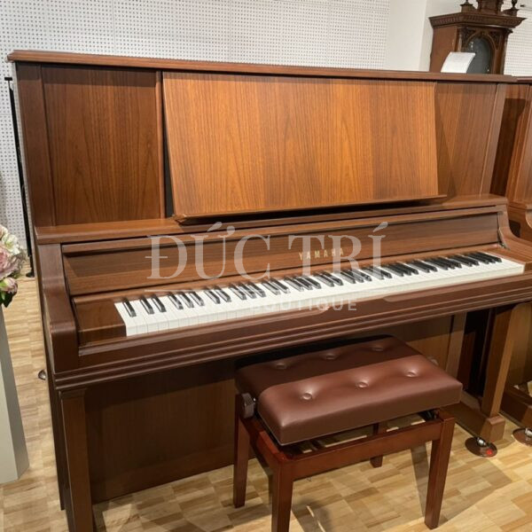 Vật liệu làm đàn bằng gỗ óc cho tự nhiên cao cấp