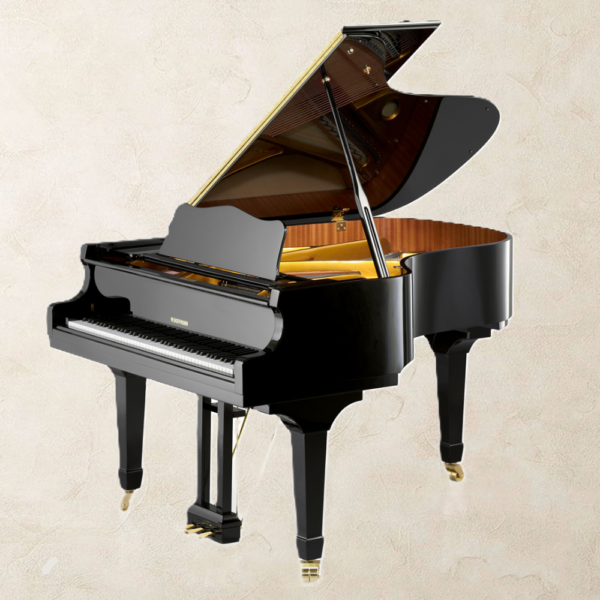 W. Hoffmann V158 Vario