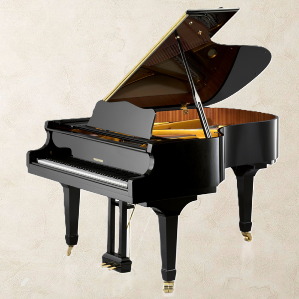 W. Hoffmann V175 Vario