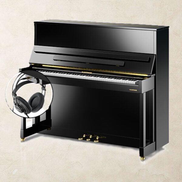 W. Hoffmann V6 Vario