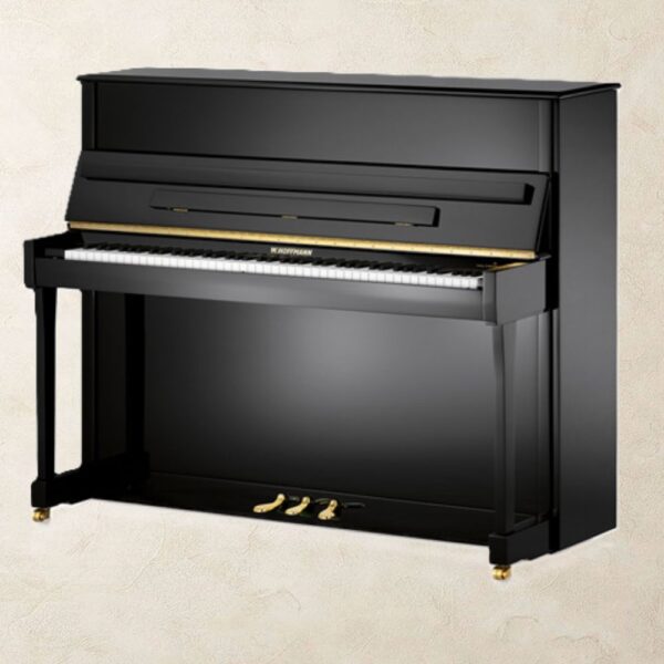 W. Hoffmann V8 Vario