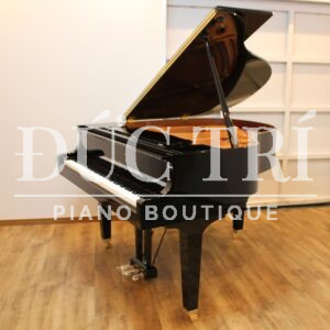 Yamaha A1L