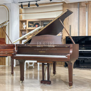 Đàn Grand Piano Yamaha C3B Walnut Cao Cấp Tại Đức Trí Music