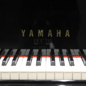 Yamaha C3LASN silent