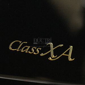 Yamaha C3XA Class XA